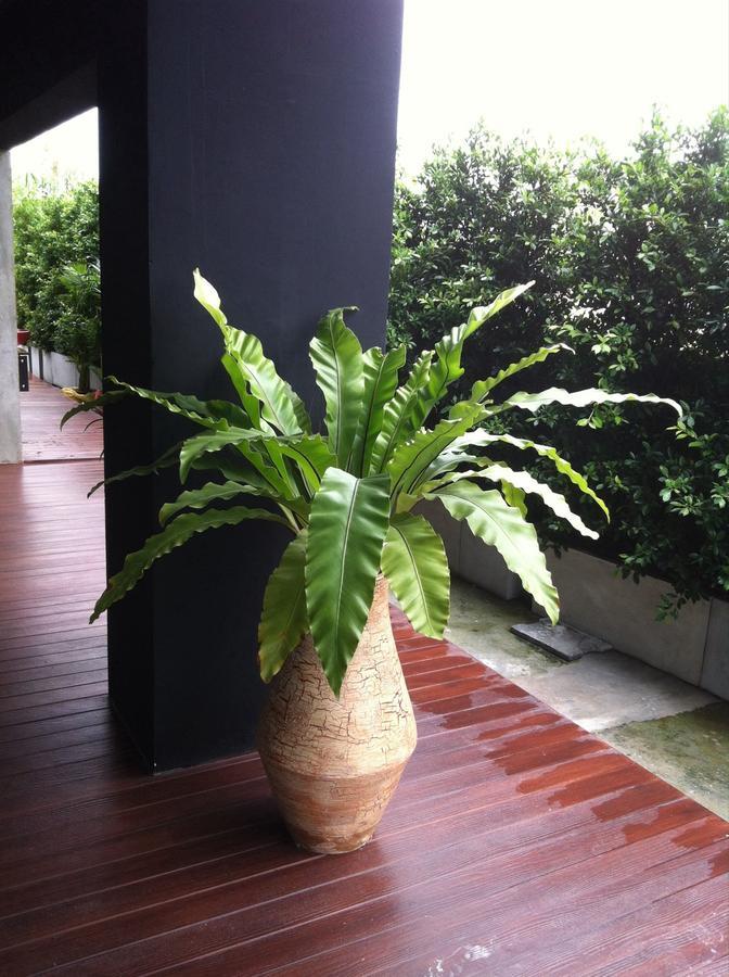 The Logbook Room And Cafe' Chonburi Exteriér fotografie